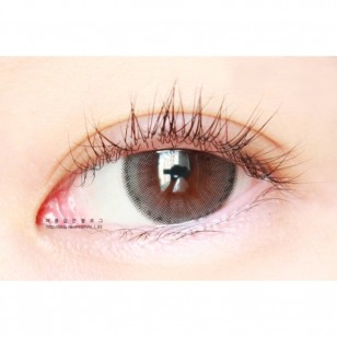 Holoris Mild Gray(日拋)